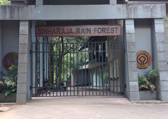 Kudawa Rainforest Trail Sinharaja Gateway